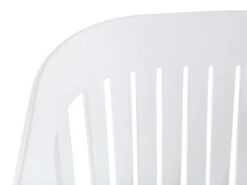 Dining Chair White DALLAS -Furniture Store undef src sa picid 353323 type whitesh image