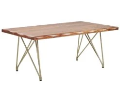 Acacia Coffee Table Light Wood And Gold RALEY