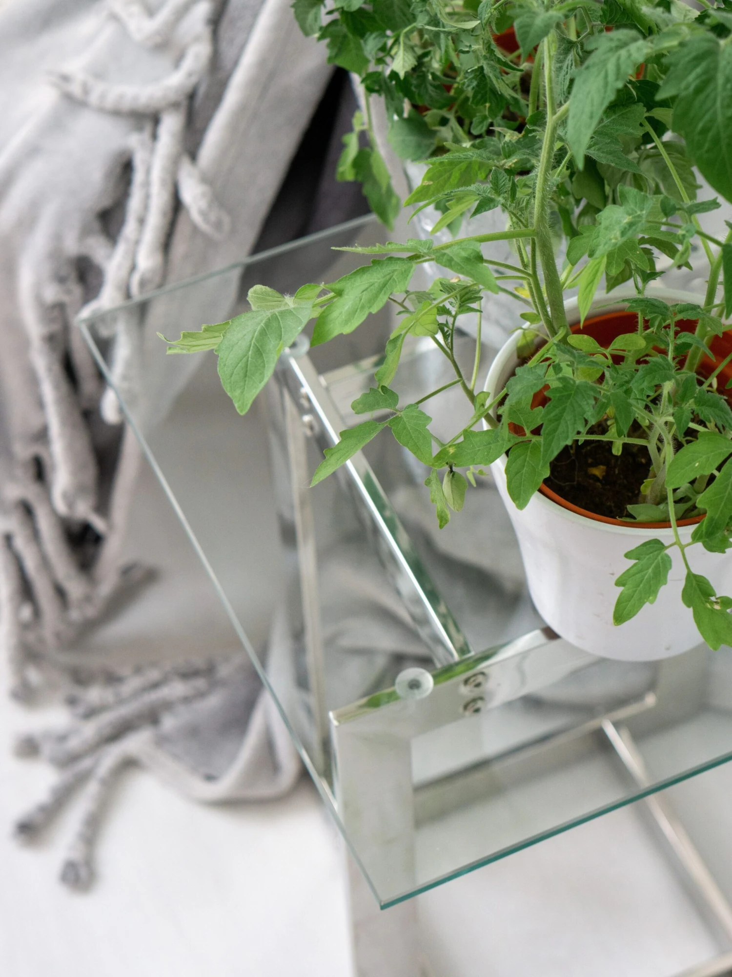 Glass Top Side Table Silver CRYSTAL - Image 4