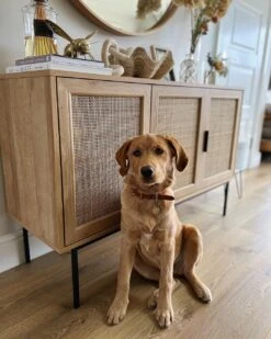 Rattan 3 Door Sideboard Light Wood PASCO -Furniture Store undef src sa picid 835818 type whitesh image