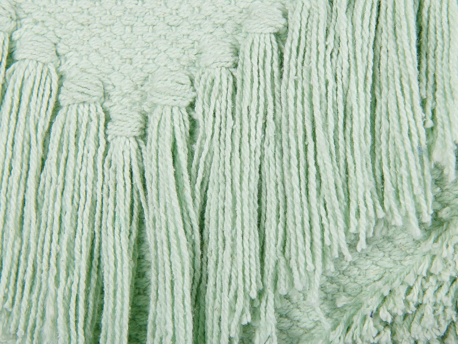 Set Of 2 Cotton Cushions With Tassels 45 X 45 Cm Light Green BACOPA - Image 6