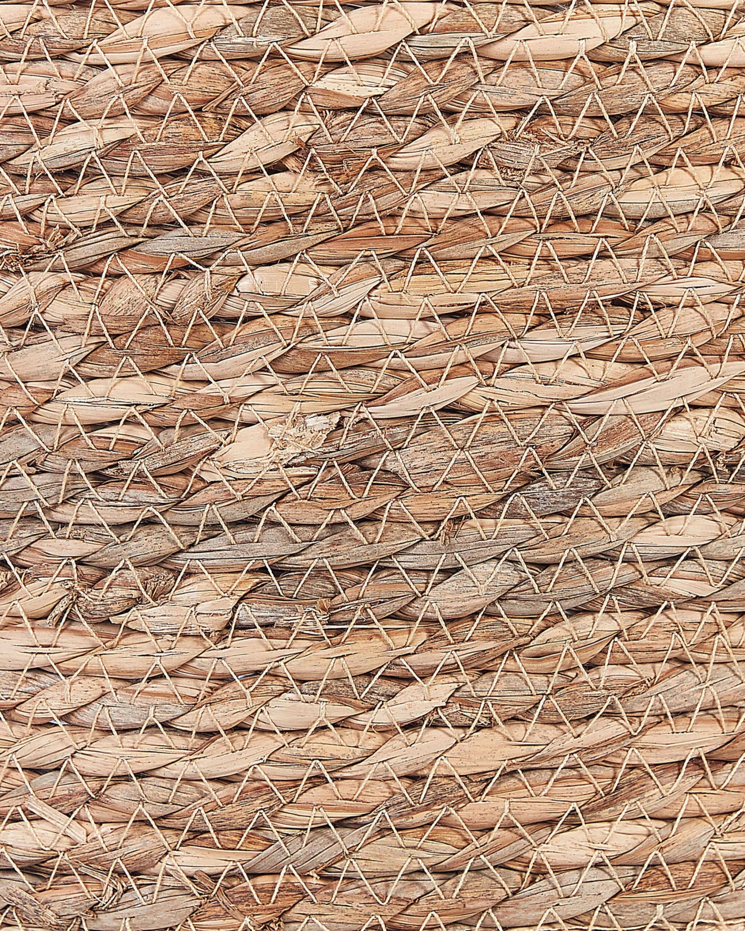 Set Of 2 Seagrass Baskets Natural SAYJAR - Image 6