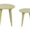 Set Of 2 Mango Wood Side Tables Light Green MAHARO -Furniture Store undef src sa picid 852317 type whitesh image